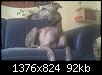 IMAG0012http://www.gnadenkinder.de/board/album.php?albumid=13&attachmentid=1302