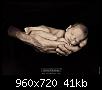 382983 281044265270606 622425026 n