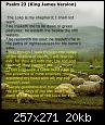 51 psalms 23 king james version1 81