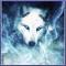 Avatar von Schneewolf